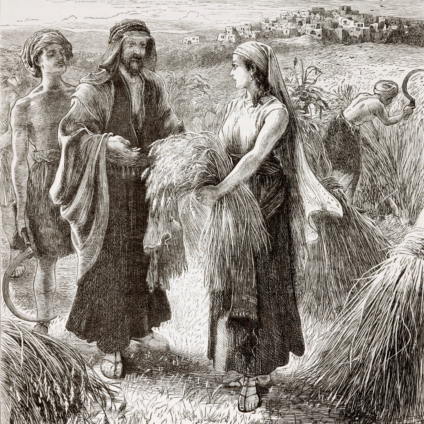 Ruth harvesting barley